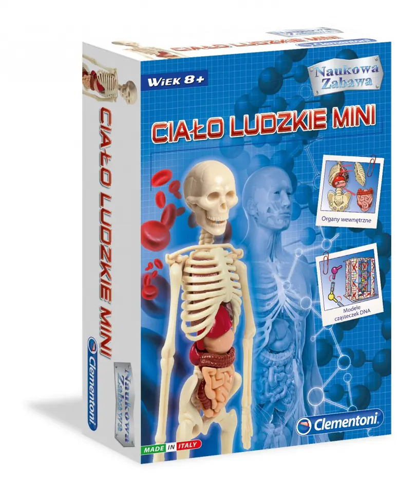 Ciało ludzkie mini w sklepie Wasserman.eu