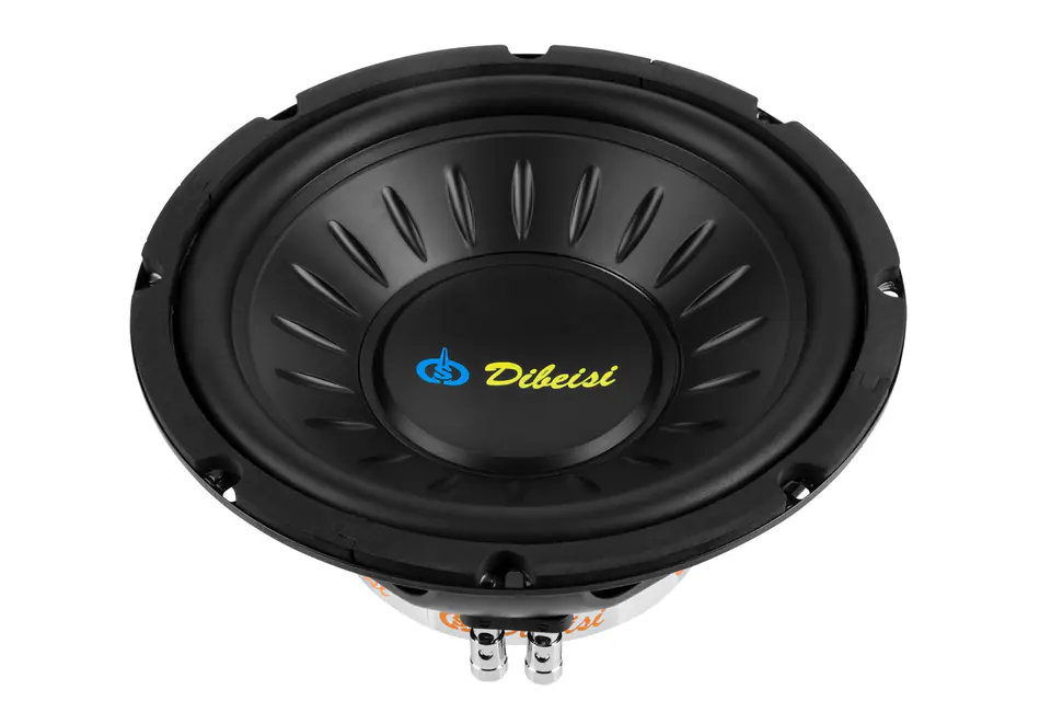 B1023-8 Głośnik 10" DBS-B1023 8ohm w sklepie Wasserman.eu