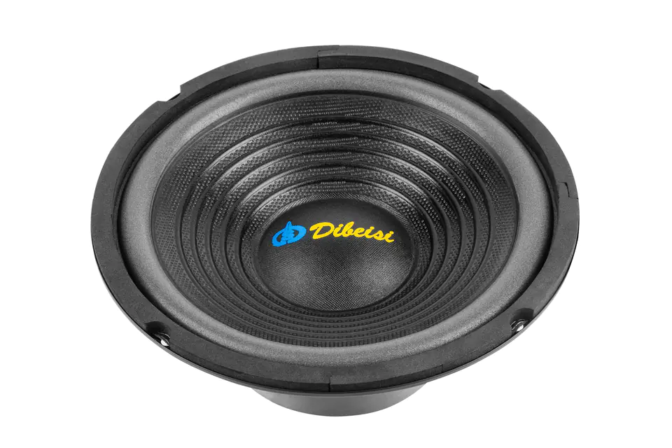 Głośnik 8" DBS-G8001 8 Ohm at Wasserman.eu