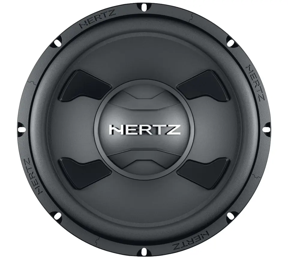 DS 25.3 SUBWOOFER 250mm at Wasserman.eu