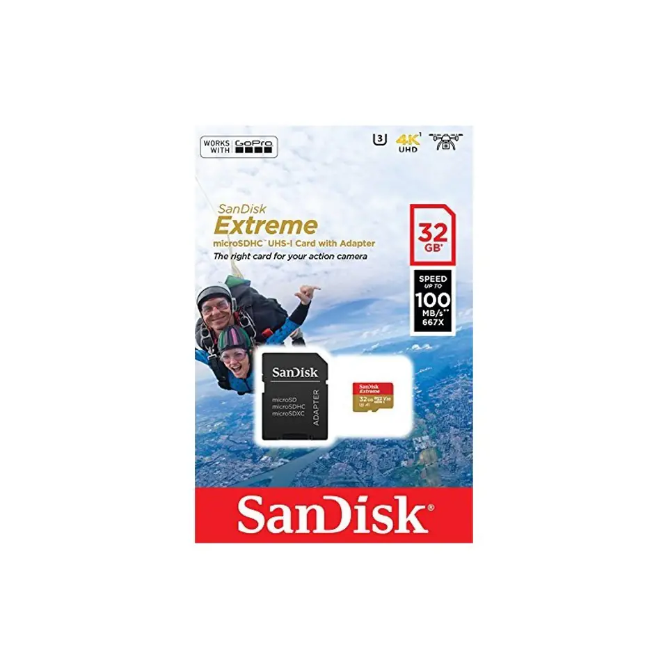 Extreme microSDHC 32GB 100/60MB/s A1 V30 GoPro at Wasserman.eu