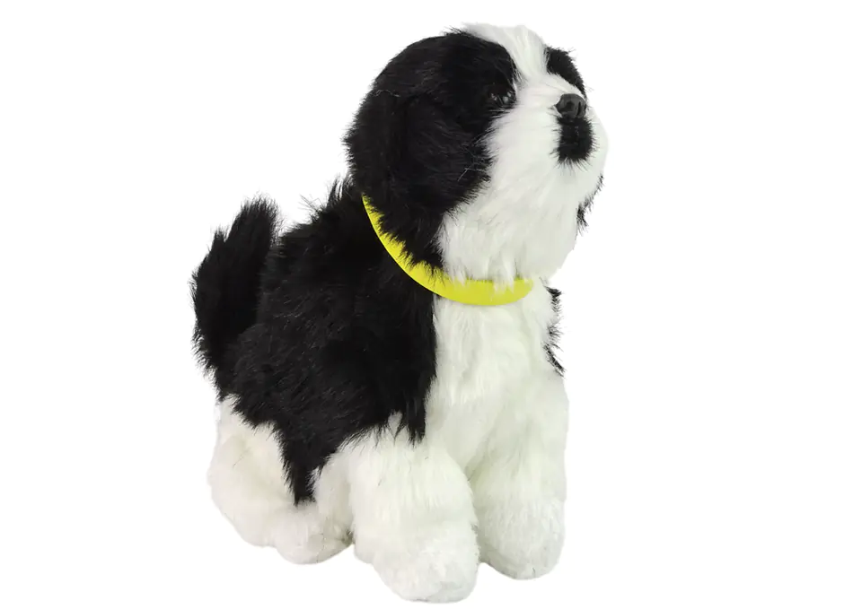 ⁨Interactive dog Border Collie plush barks tail⁩ at Wasserman.eu