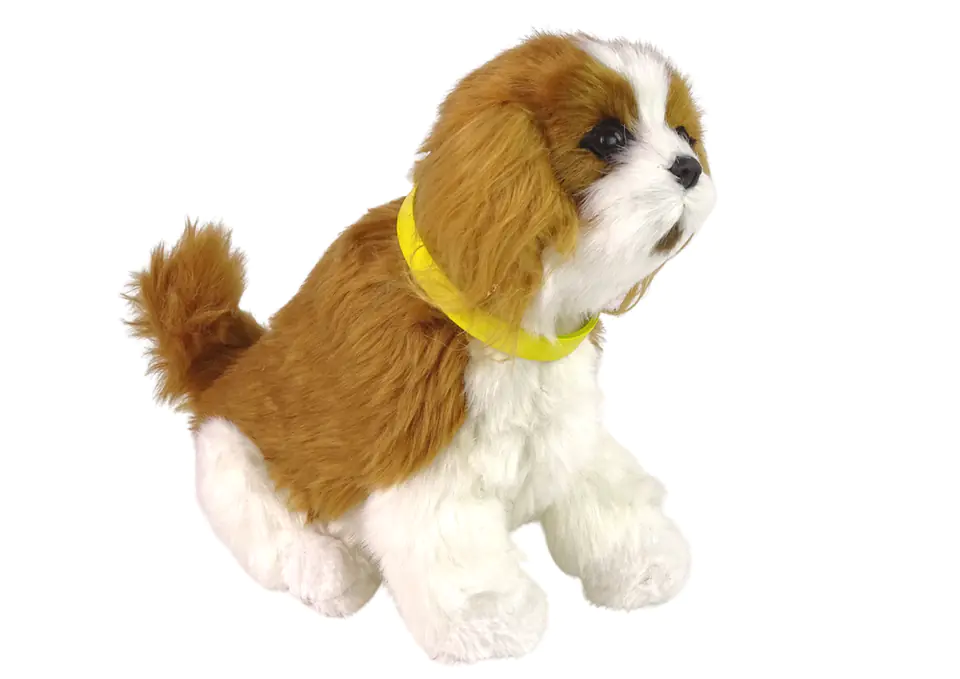 ⁨Interactive dog Cavalier plush barks tail⁩ at Wasserman.eu