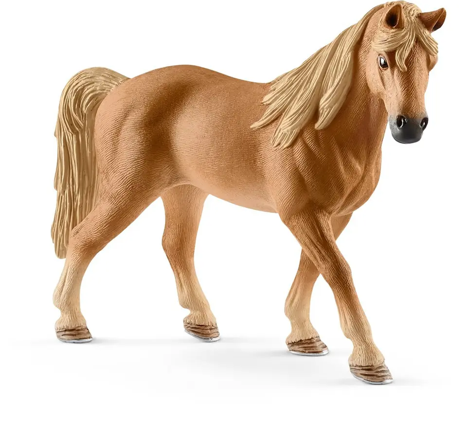 Breed Tennessee Walker mare at Wasserman.eu