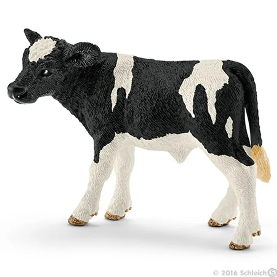 ⁨Holstein calf⁩ at Wasserman.eu