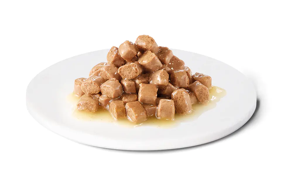 ADVANCE DIET Urinary - mokra karma dla kotów z problemami układu moczowego 85g w sklepie Wasserman.eu