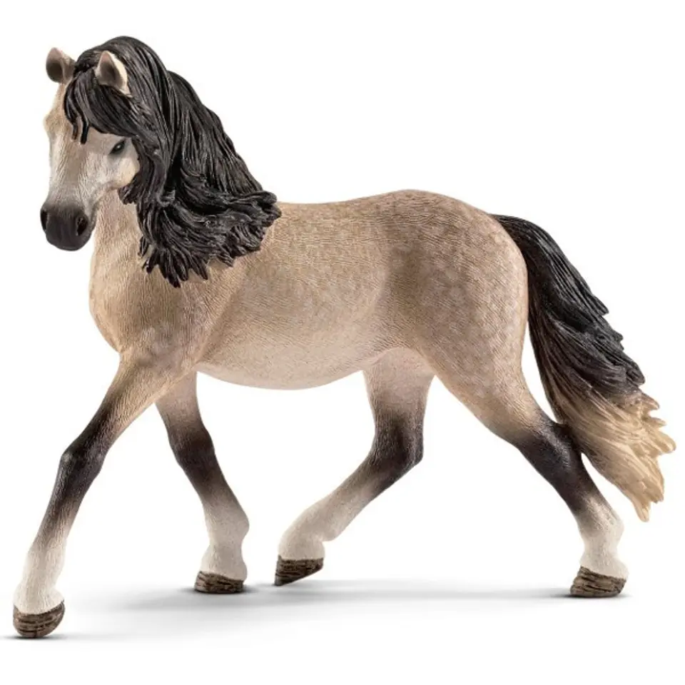 Andalusian mare at Wasserman.eu