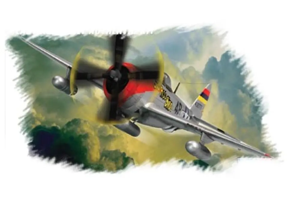 ⁨HOBBY BOSS P-47D ? Thunde rbolt?⁩ at Wasserman.eu