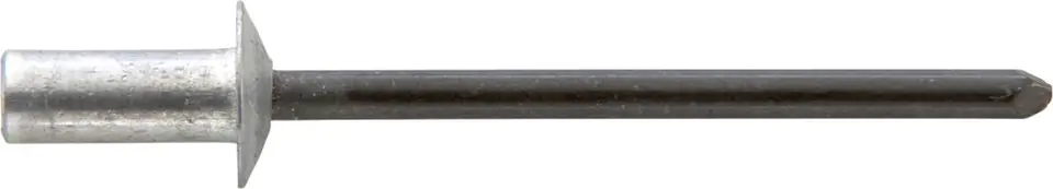 ⁨Nit 1-str.zam.CAP,al/stalleb plas.-okr. 3,2x8mm GESIPA  (500 szt.)⁩ w sklepie Wasserman.eu