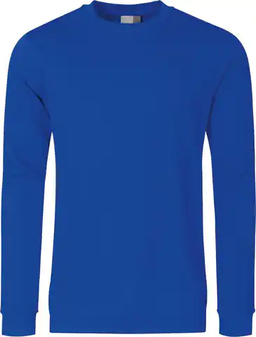 ⁨Sweatshirt, size L, royal blue⁩ at Wasserman.eu