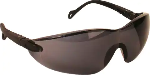 ⁨Eclipse glasses, PC, tinted/black.⁩ at Wasserman.eu