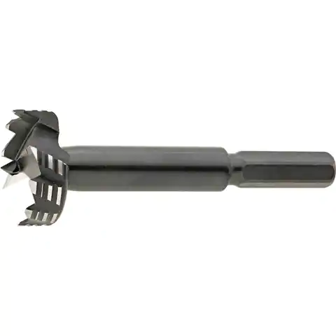⁨Carpenter drill. Forstnera Bormax 2.0 WS 15mm GL 90mm Famag⁩ at Wasserman.eu