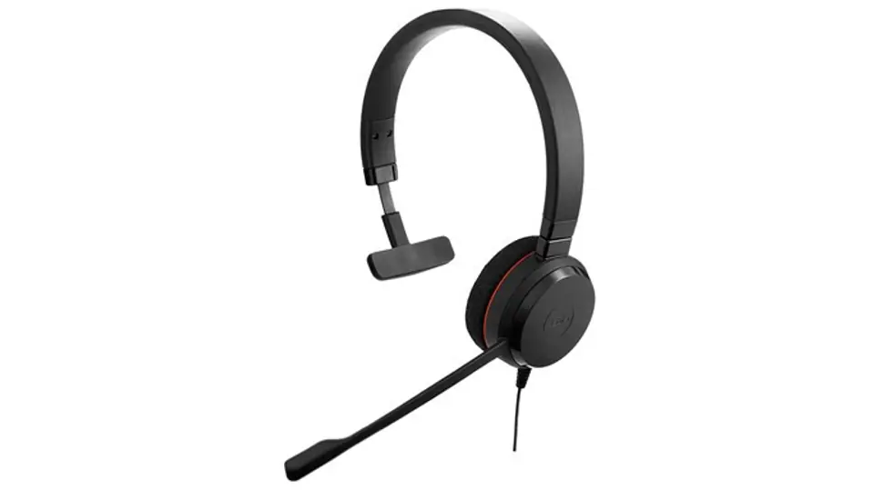 Evolve 20 Mono w sklepie Wasserman.eu