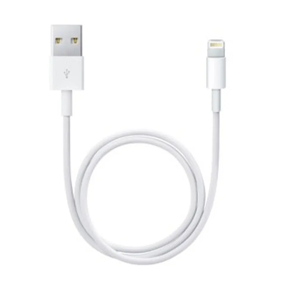 ⁨Kabel Apple ME291ZM/A blister 0,5m Lightning iPhone 5/SE/6/6 Plus/7/7 Plus/8/8 Plus/X/Xs/Xs Max/Xr⁩ w sklepie Wasserman.eu