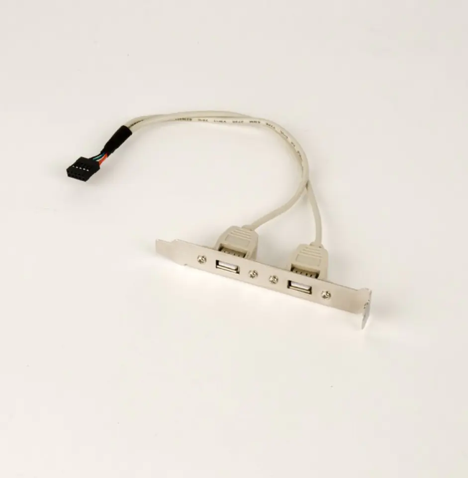 Bracket 2xUSB 2.0 at Wasserman.eu