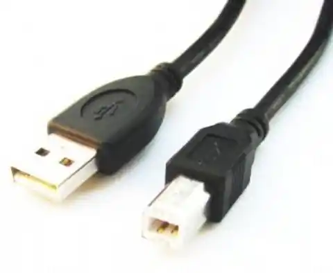 ⁨Gembird CCP-USB2-AMBM-10 USB cable 3.04 m USB A USB B Black⁩ at Wasserman.eu