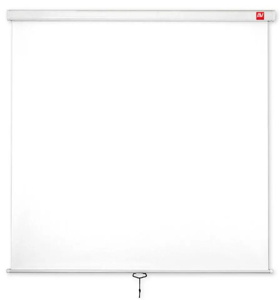 Wall Screen Manual Standard 175/1: 1/175x175cm/Matt White at Wasserman.eu