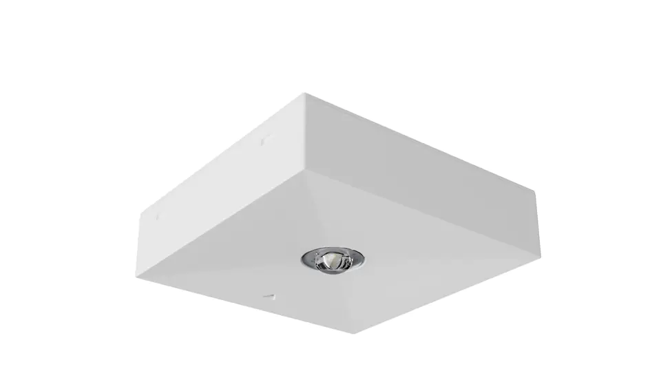 ⁨Emergency luminaire LV3N IP20 LED 1W (opt. road) 1h single-purpose white LV3N/R/1W/B/1/SE/X/WH⁩ at Wasserman.eu