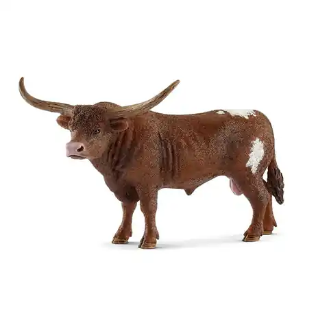 ⁨Texas Longhorn bull⁩ at Wasserman.eu