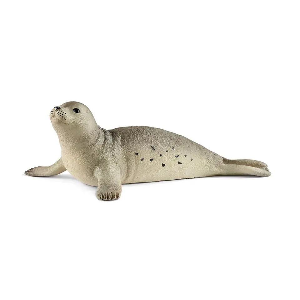 ⁨Seal⁩ at Wasserman.eu