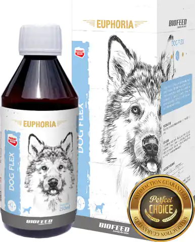 ⁨BIOFEED EUPHORIA Dog Flex Gelenkpräparat für Hunde 250ml⁩ im Wasserman.eu
