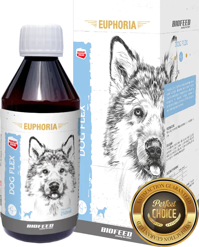 ⁨BIOFEED EUPHORIA Dog Flex Preparation for joints for dogs 250ml⁩ at Wasserman.eu