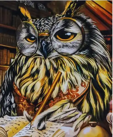 ⁨Painting by numbers: Owl, canvas, paints, brushes⁩ at Wasserman.eu