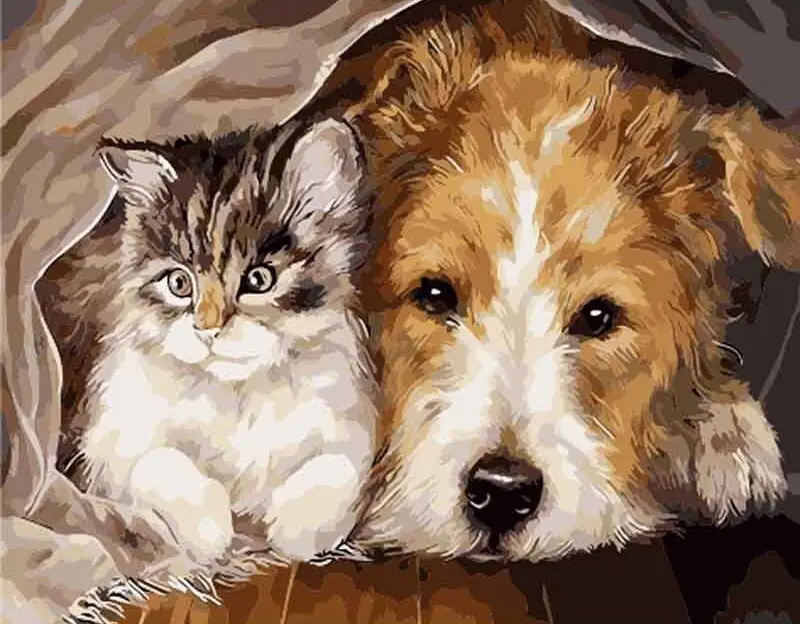 ⁨Duży obraz Malowanie po numerach Piesek i kotek 40 x 50 cm⁩ w sklepie Wasserman.eu