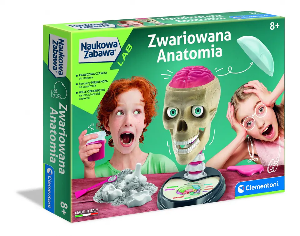 Anatomy at Wasserman.eu