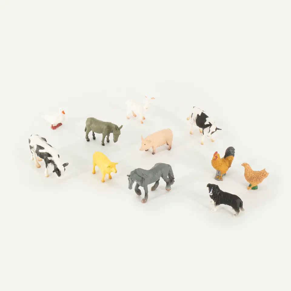 ⁨SET OF PETS 12 PCS.⁩ at Wasserman.eu