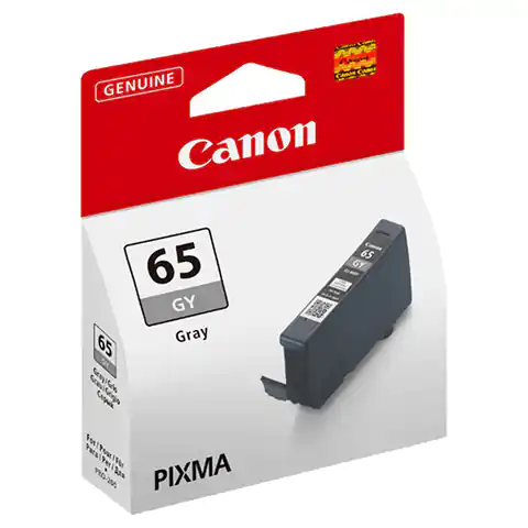 ⁨Canon oryginalny ink / tusz CLI-65GY, gray, 12.6ml, 4219C001, Canon Pixma Pro-200⁩ w sklepie Wasserman.eu
