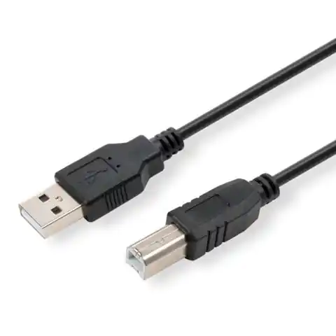 ⁨USB logo cable (2.0), USB A M - 1.8m, black⁩ at Wasserman.eu
