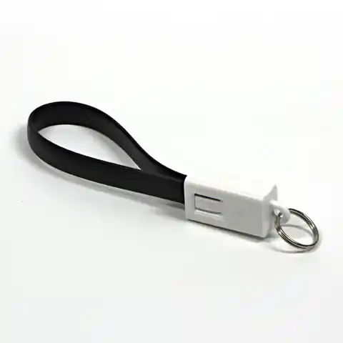 ⁨USB logo cable (2.0), USB A M - 0.2m, black, blister, key ring⁩ at Wasserman.eu