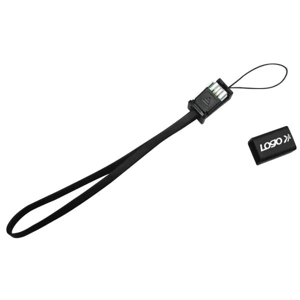 ⁨Logo USB kabel (2.0), USB A M - miniUSB (M), 0.3m, czarny, smycz do aparatu, EOL⁩ w sklepie Wasserman.eu