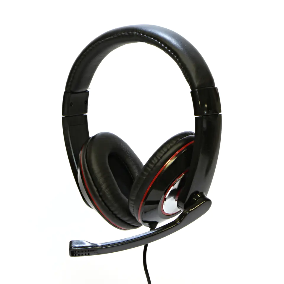 ⁨HL-01 logo, headphone with microphone, volume control, black, USB⁩ at Wasserman.eu