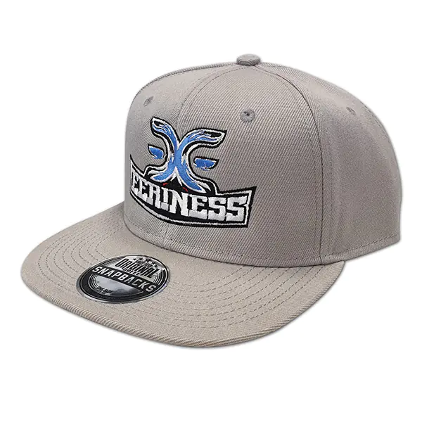 ⁨EERINESS snapback, šedá, vyšité logo⁩ w sklepie Wasserman.eu