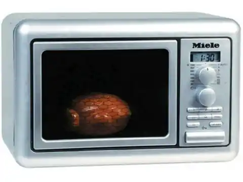⁨Klein Microwave Miele⁩ at Wasserman.eu