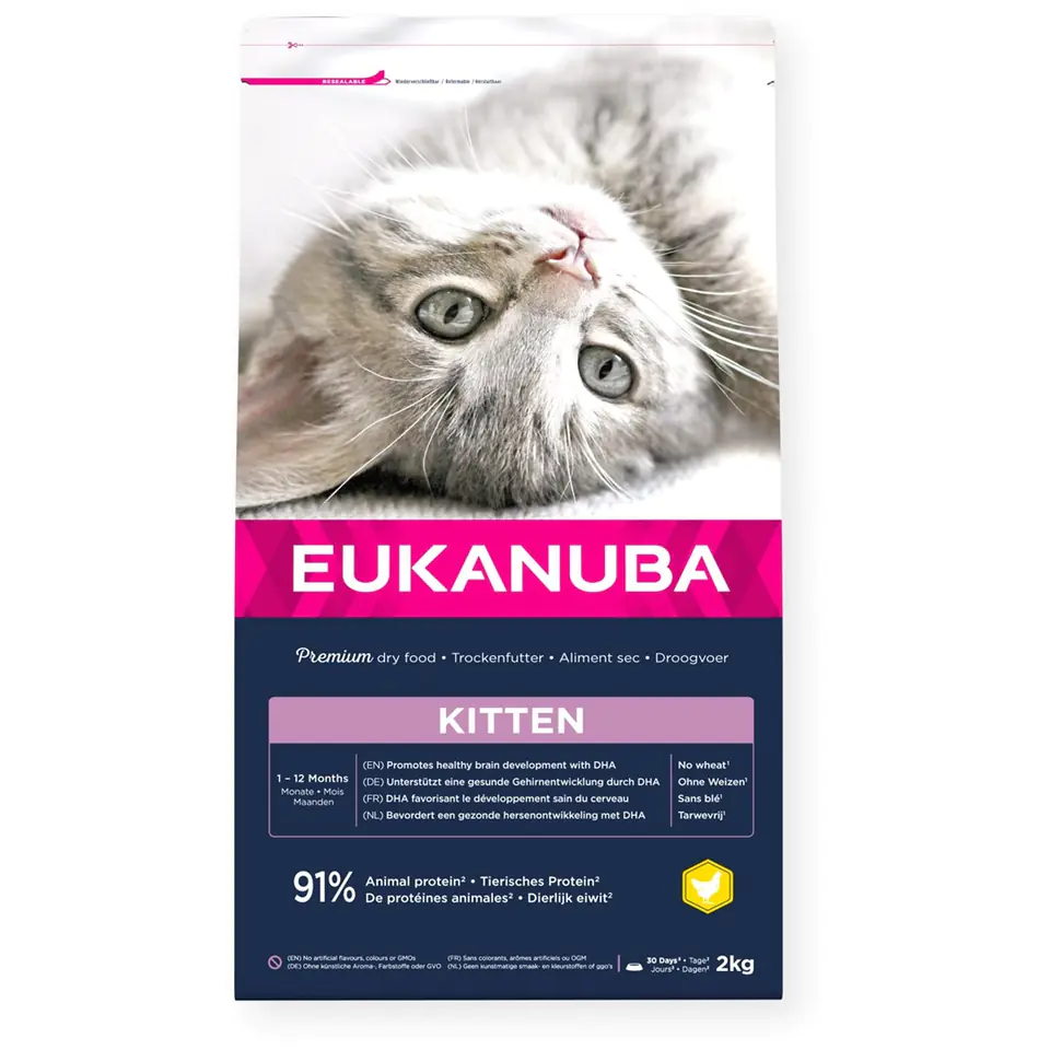 Eukanuba Kitten Healthy Start Rich in Chicken 2kg w sklepie Wasserman.eu