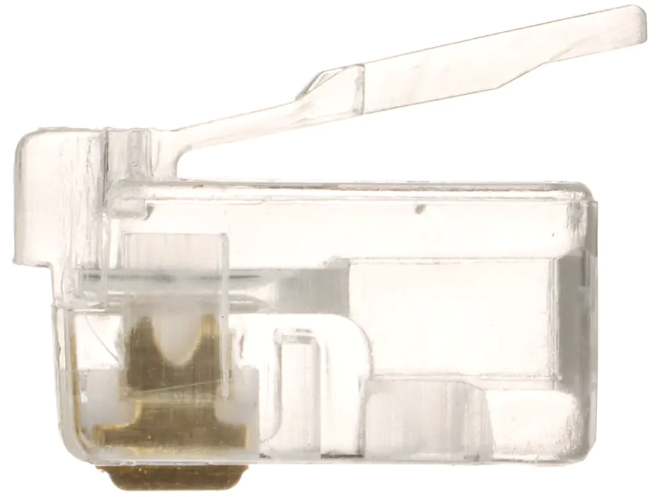 TELEPHONE PLUG RJ11*P100 at Wasserman.eu