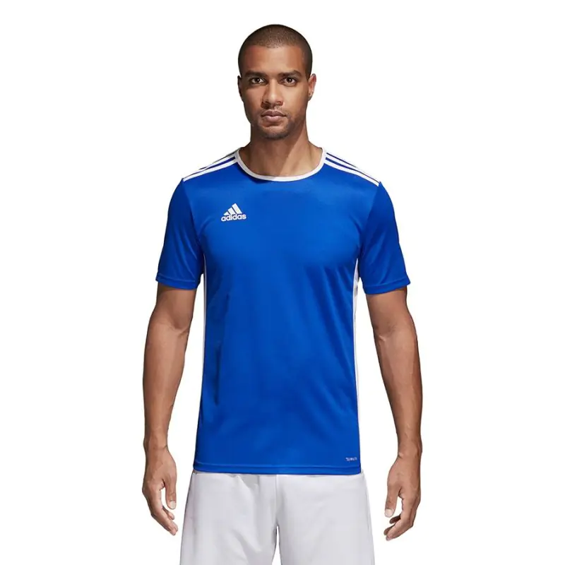 ⁨Koszulka piłkarska adidas Entrada 18 (kolor Niebieski, rozmiar M)⁩ w sklepie Wasserman.eu