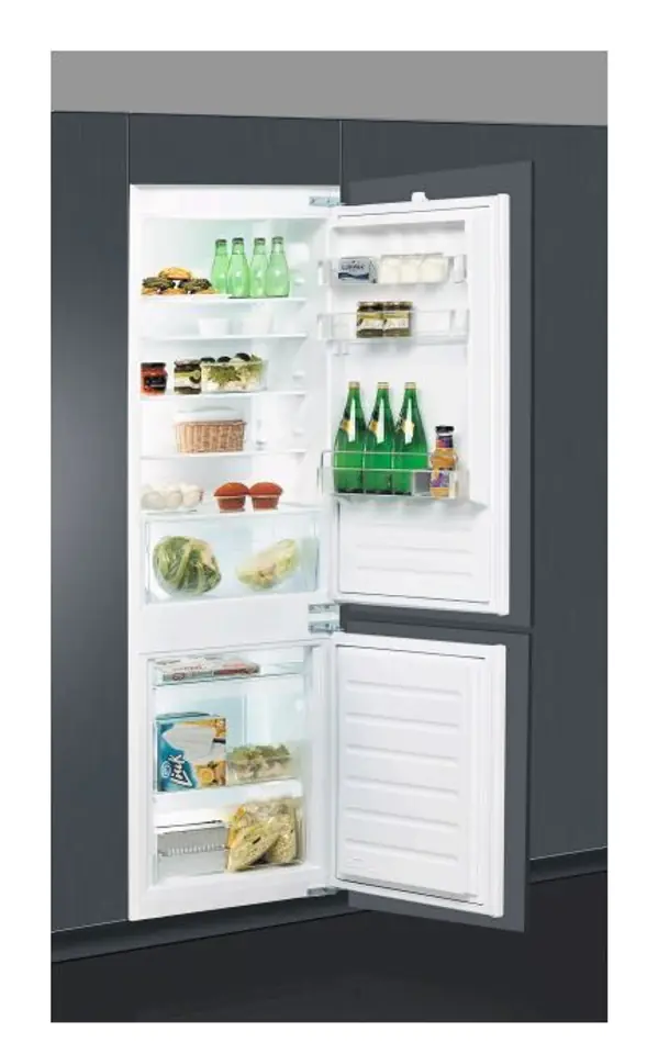 ART65021 BI Refrigerator at Wasserman.eu