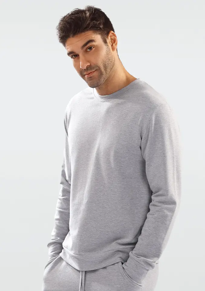 ⁨Men's Sweatshirt Justin (Grey color, Size L (40))⁩ at Wasserman.eu