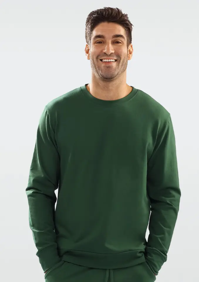 ⁨Men's Sweatshirt Justin (Green, Size M (38))⁩ at Wasserman.eu