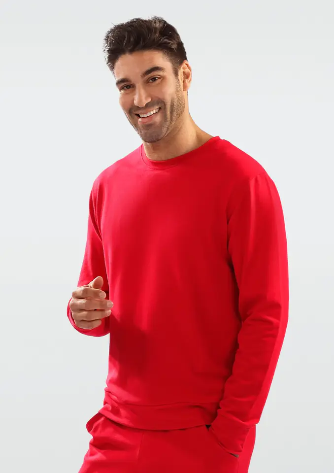 ⁨Men's Sweatshirt Justin (Red, Size XXL (44))⁩ at Wasserman.eu