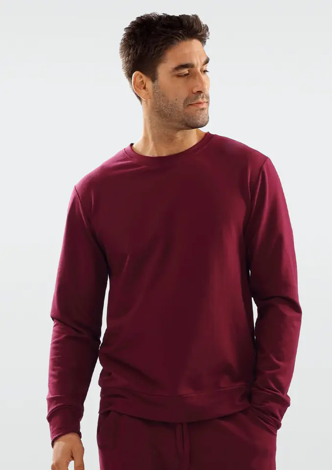 ⁨Men's Sweatshirt Justin (Burgundy, Size M (38))⁩ at Wasserman.eu