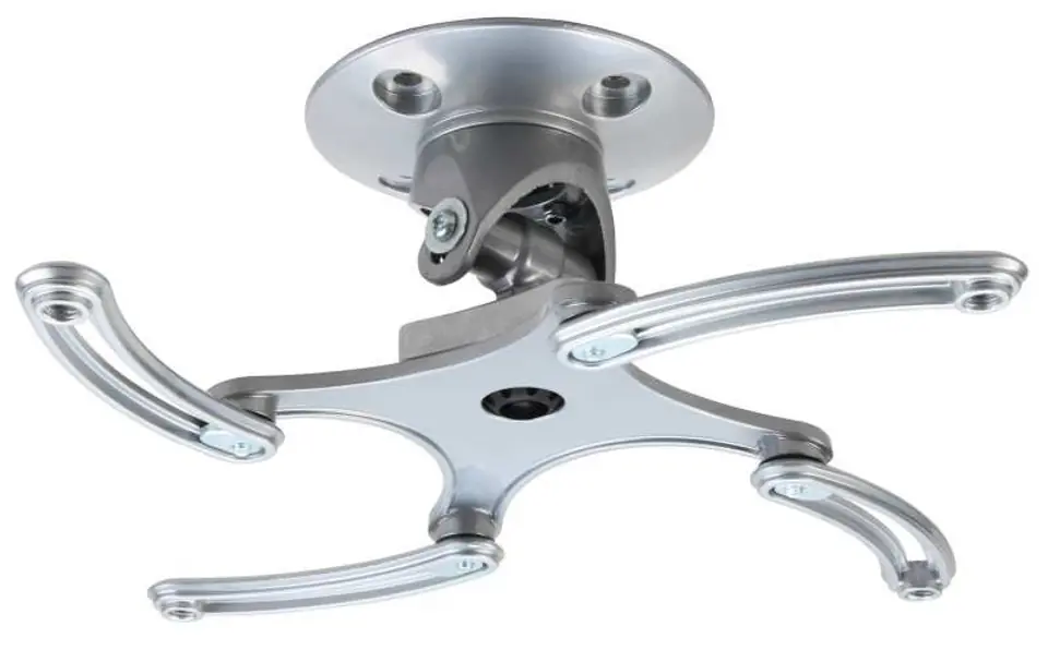 ⁨Pro Mount Direct ceiling projector mount⁩ at Wasserman.eu