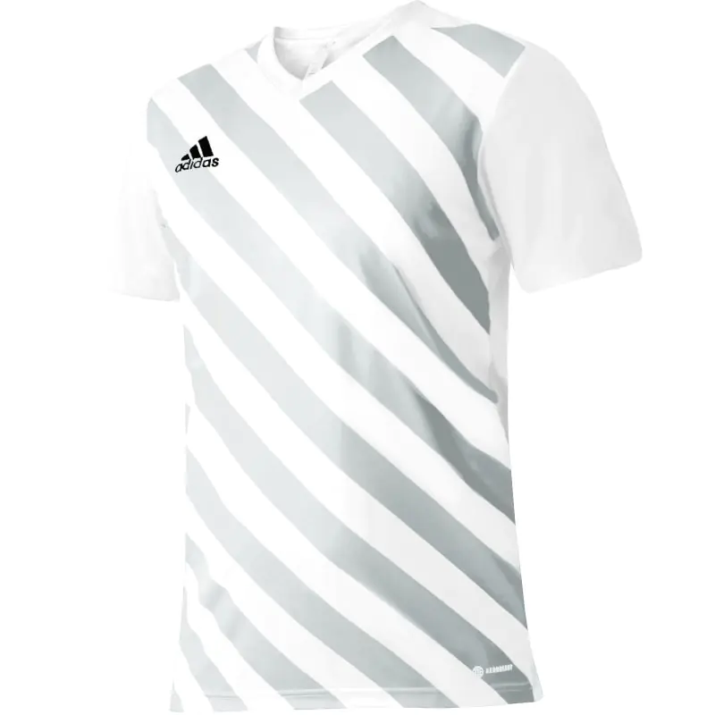 ⁨Koszulka adidas Entrada 22 Graphic Jersey Jr (kolor Biały. Szary/Srebrny, rozmiar 128 cm)⁩ w sklepie Wasserman.eu