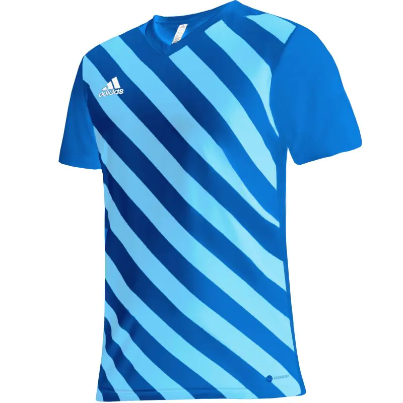 ⁨Koszulka adidas Entrada 22 Graphic Jersey Jr (kolor Niebieski, rozmiar 176cm)⁩ w sklepie Wasserman.eu