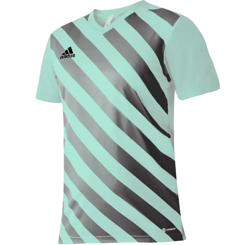 ⁨Koszulka adidas Entrada 22 Graphic Jersey M (kolor Zielony, rozmiar 2 XL)⁩ w sklepie Wasserman.eu