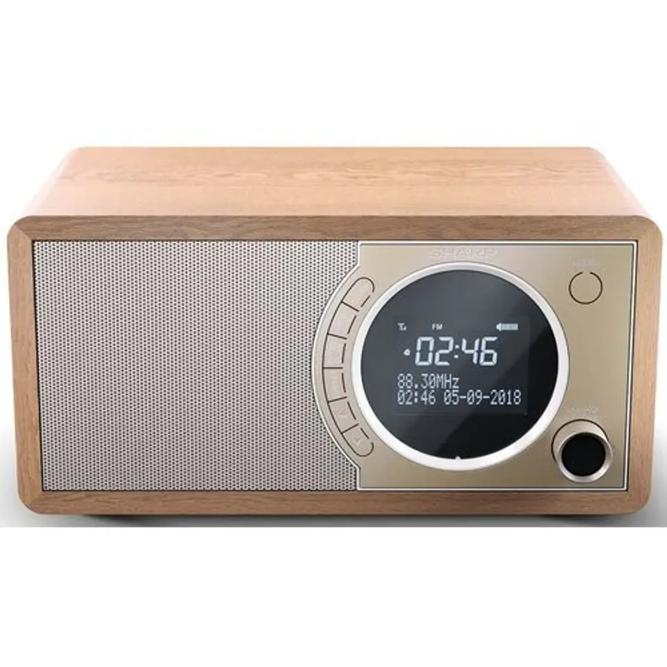 Radio DAB+ BT DR-450(BR) im Wasserman.eu